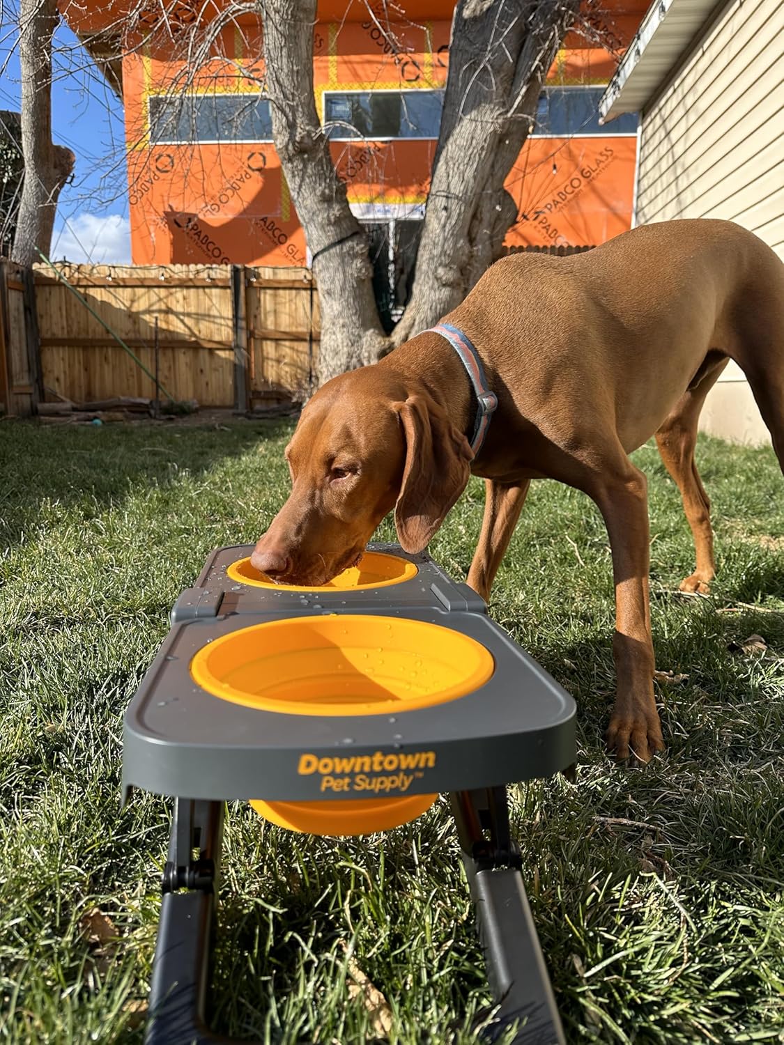 Pawticap™ Dual Collapsible Bowls