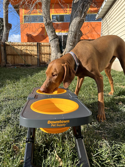 Pawticap™ Dual Collapsible Bowls