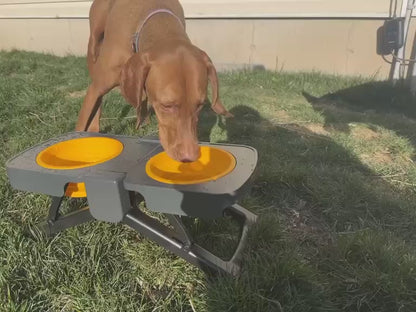 Pawticap™ Dual Collapsible Bowls